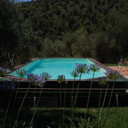 Bed & Breakfast Il Pino Vetulonia