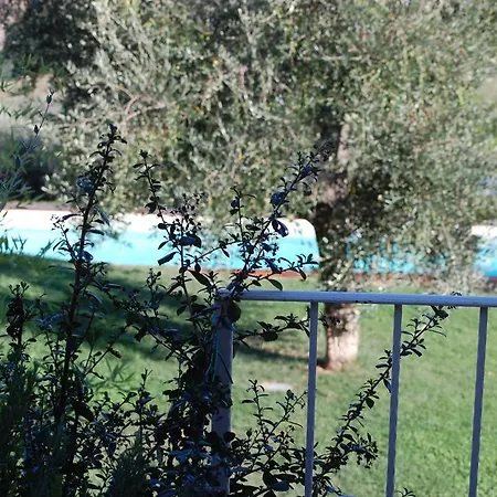 Il Pino Bed & Breakfast