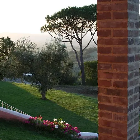 Il Pino Vetulonia