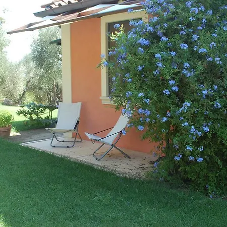 Il Pino * Vetulonia