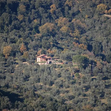 Bed & Breakfast Il Pino