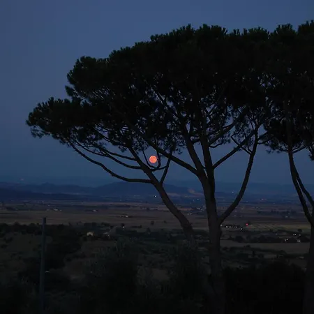 Il Pino Bed & Breakfast *
