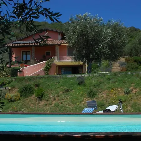 Il Pino